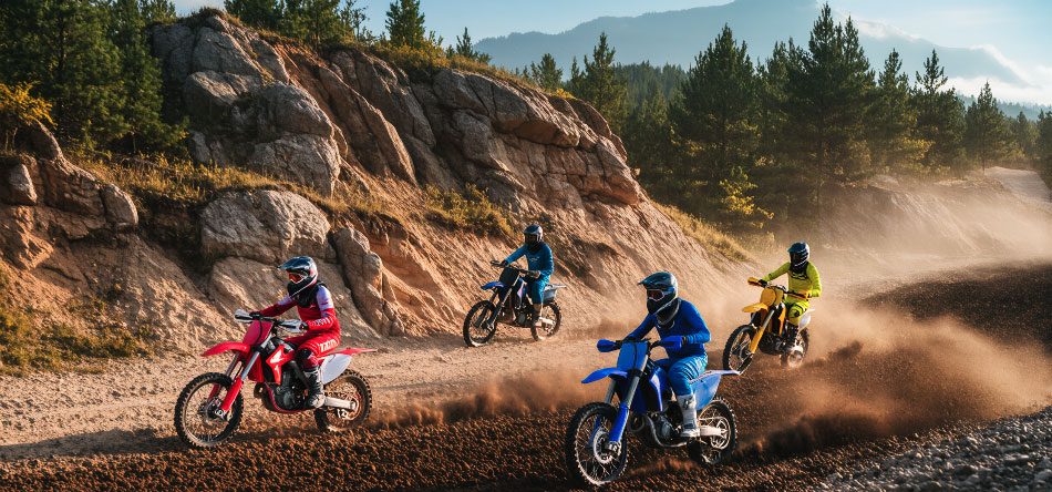 Off-Road electric